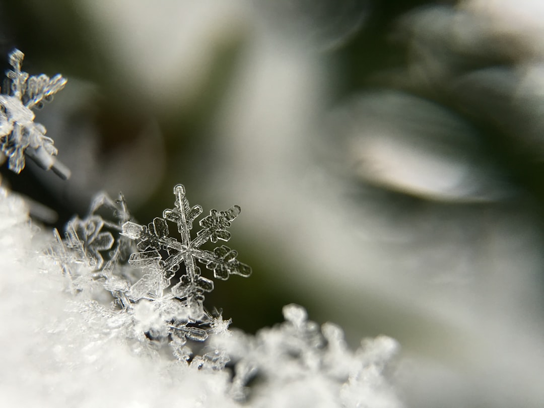 découvrez la beauté et la diversité de la nature : paysages époustouflants, écosystèmes fascinants et merveilles de la faune et de la flore. plongez dans un monde de sérénité et d'émerveillement.