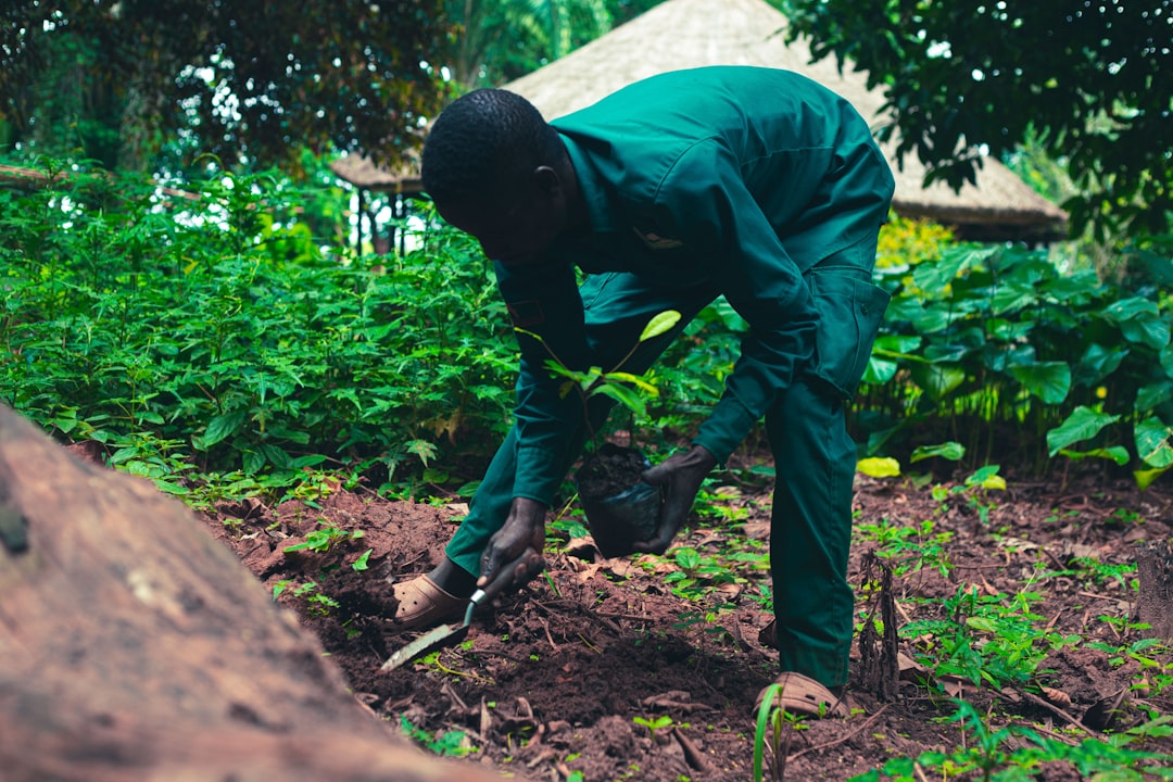 découvrez les enjeux du développement durable : un équilibre entre écologie, économie et société pour garantir un avenir viable et responsable. explorez des solutions innovantes et engagez-vous dans la préservation de notre planète.