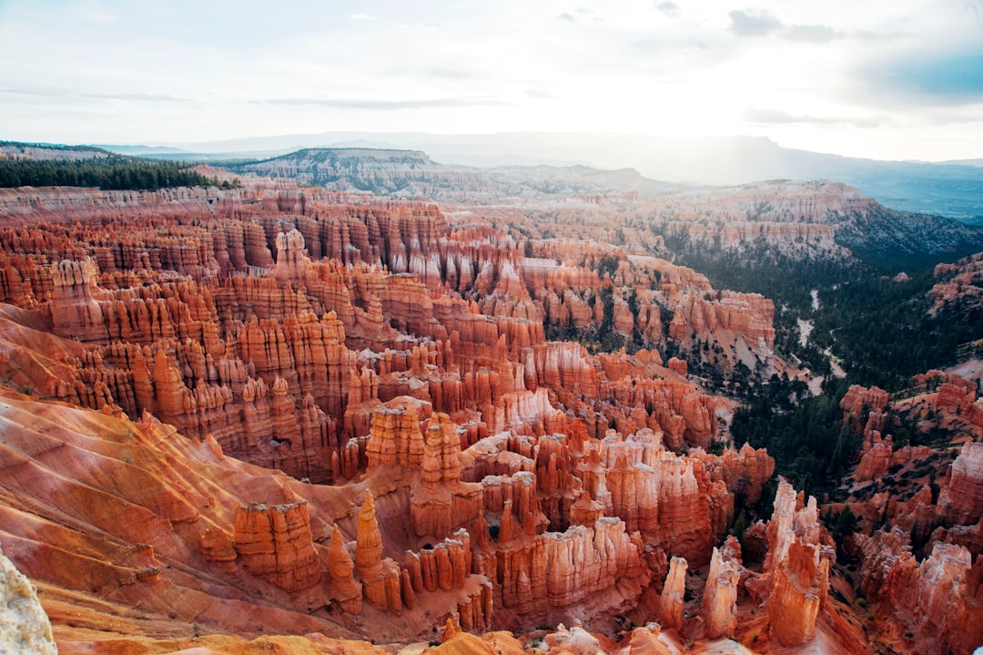 découvrez la beauté et la diversité des parcs nationaux, véritables sanctuaires de nature préservée. explorez des paysages majestueux, une faune variée et des activités en plein air pour toute la famille.