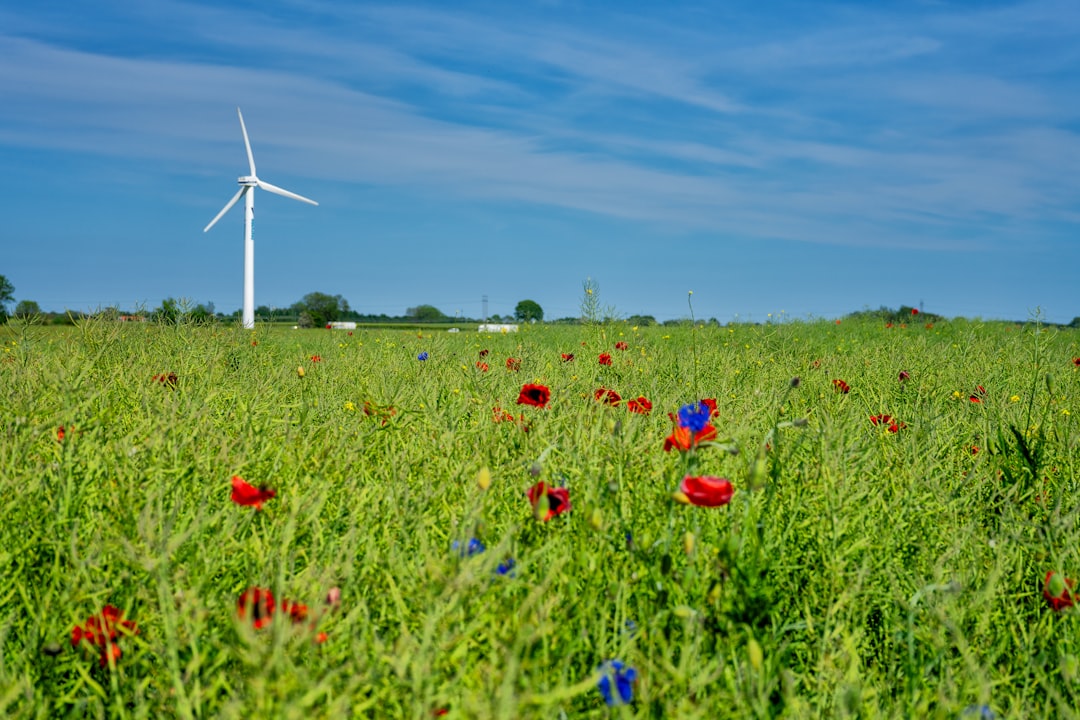 découvrez les dernières innovations en technologie agricole, qui transforment les pratiques de culture et d'élevage. améliorez votre productivité et durabilité grâce à des solutions technologiques avancées adaptées aux défis du secteur.