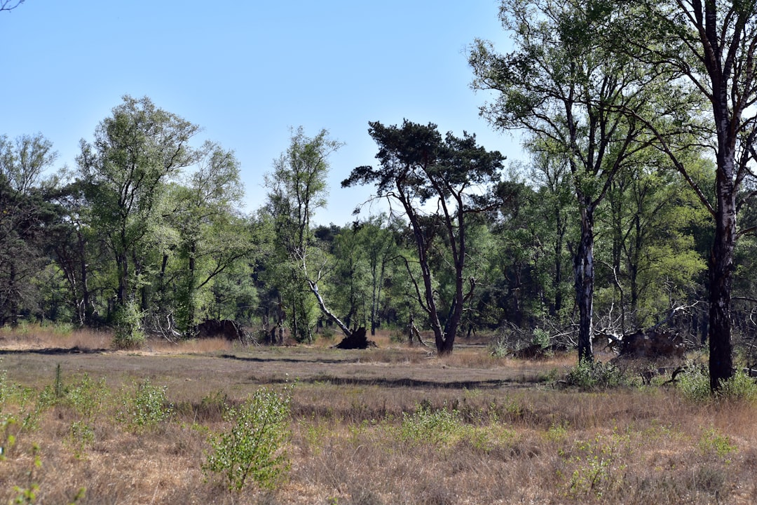 découvrez l'importance de la protection de la biodiversité pour préserver notre planète. informez-vous sur les initiatives et les actions indispensables pour sauvegarder les écosystèmes et les espèces menacées.