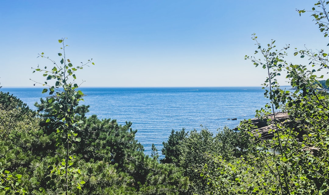 découvrez la beauté sauvage des parcs nationaux, où la nature préservée rencontre des paysages époustouflants. explorez des sentiers uniques, observez la faune et vivez des aventures inoubliables au cœur des espaces protégés.