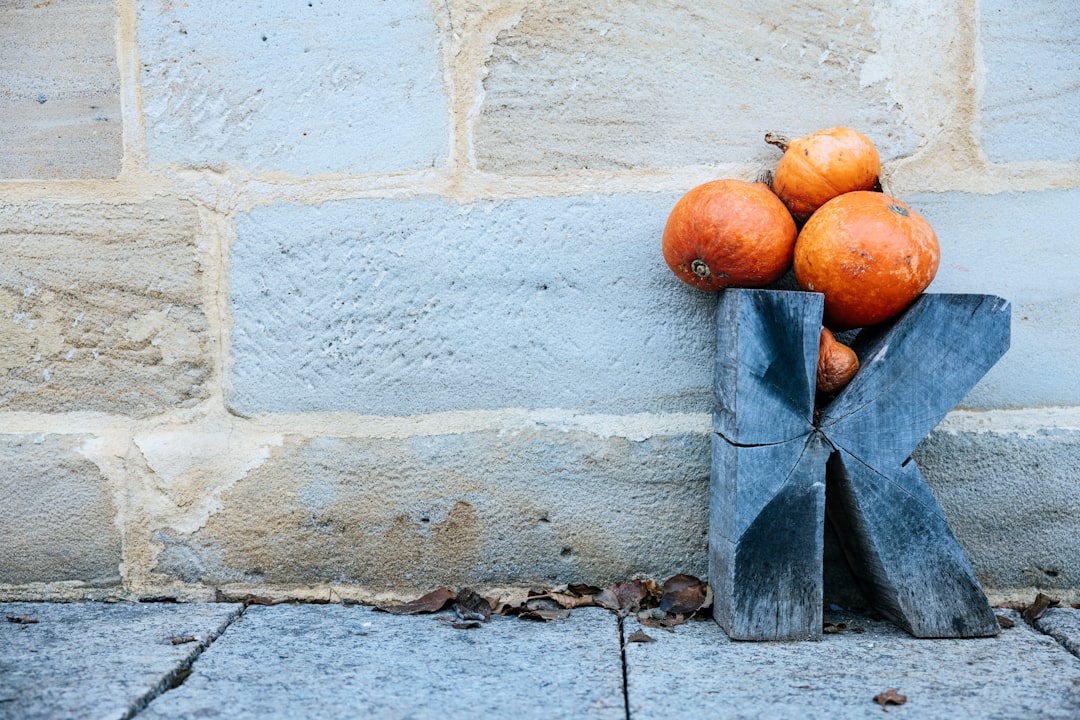 découvrez l'art du jardinage durable : des pratiques écoresponsables pour cultiver vos plantes tout en préservant notre planète. apprenez des astuces pour réduire votre empreinte écologique tout en profitant d'un jardin florissant et sain.