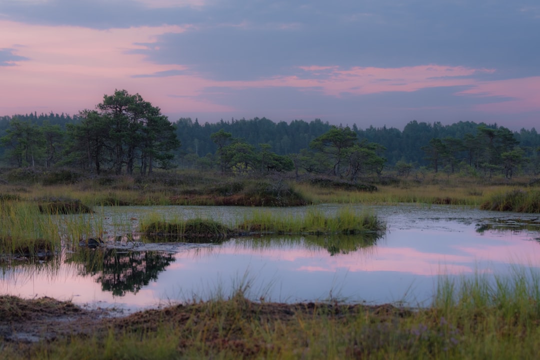 explorez la biodiversité, le réseau complexe de vie sur terre, qui englobe la variété des espèces, des écosystèmes et des interactions naturelles. découvrez l'importance de préserver cette richesse naturelle pour maintenir l'équilibre des écosystèmes et favoriser le bien-être humain.