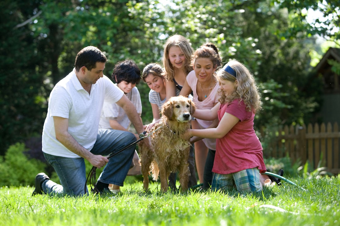 découvrez des activités familiales amusantes et engageantes qui renforceront les liens entre vos proches. explorez des idées pour des sorties, des jeux à domicile et des projets créatifs adaptés à tous les âges.