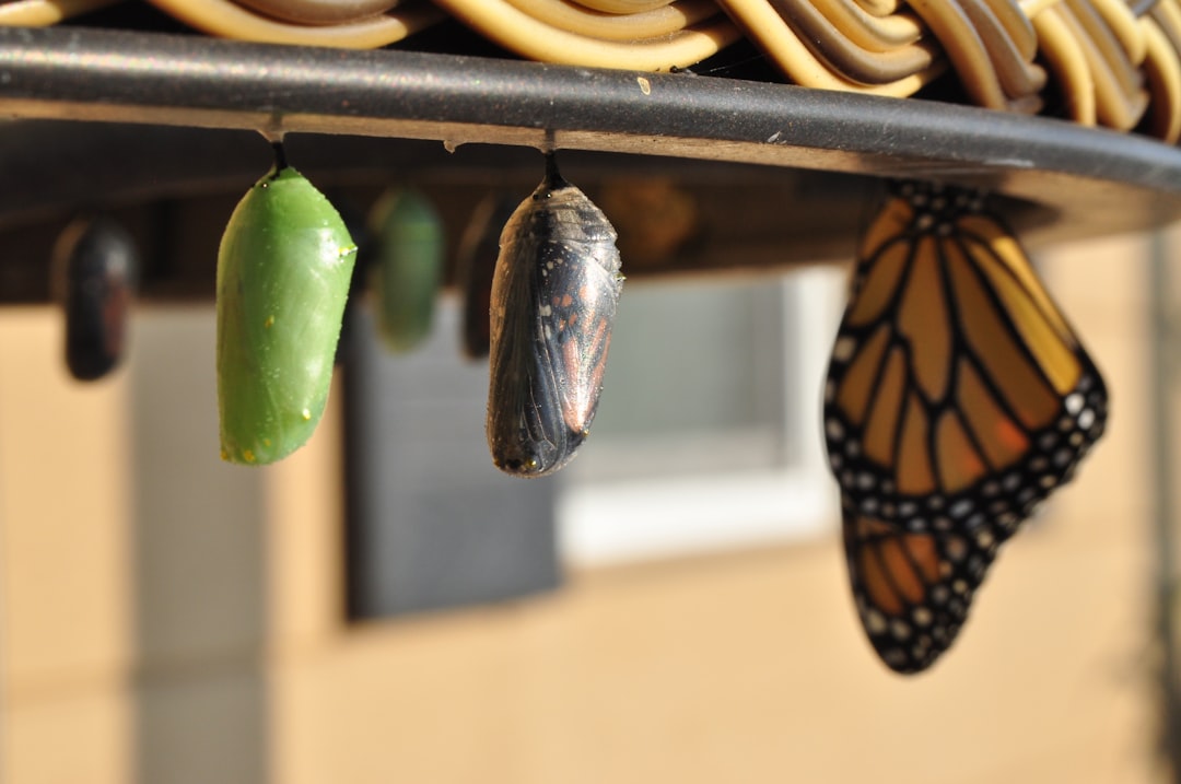 découvrez l'art du cocooning : plongez dans un univers de confort et de bien-être où chaque moment est une invitation à la détente. apprenez des astuces pour créer un espace chaleureux et agréable, parfait pour se ressourcer après une longue journée.