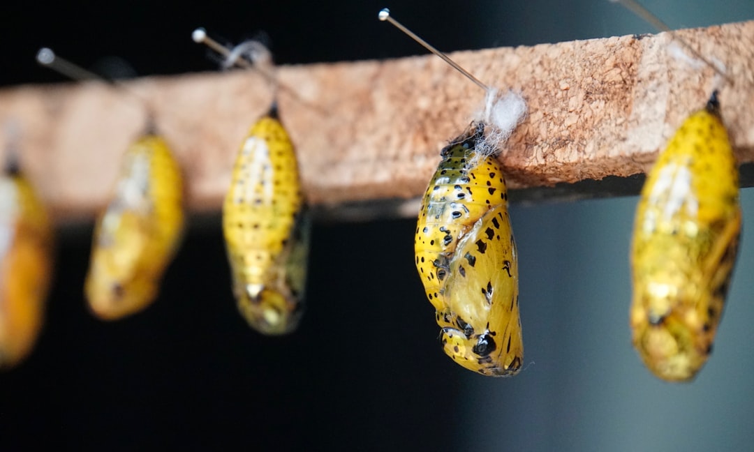 plongez dans l'univers du cocooning et découvrez l'art de se créer un espace de détente et de bien-être. apprenez à harmoniser confort et sérénité pour des moments de relaxation inoubliables.