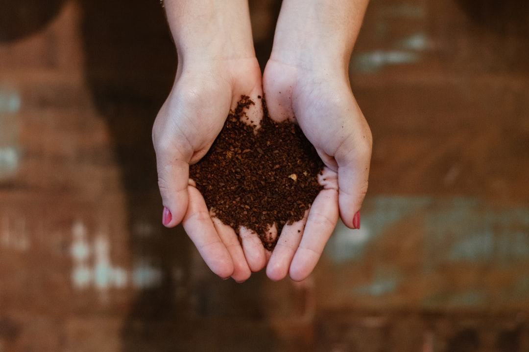 découvrez tout sur le compost : ses bienfaits, comment le créer et l'utiliser pour enrichir votre jardin. transformez vos déchets organiques en un engrais naturel et durable pour favoriser la croissance de vos plantes.