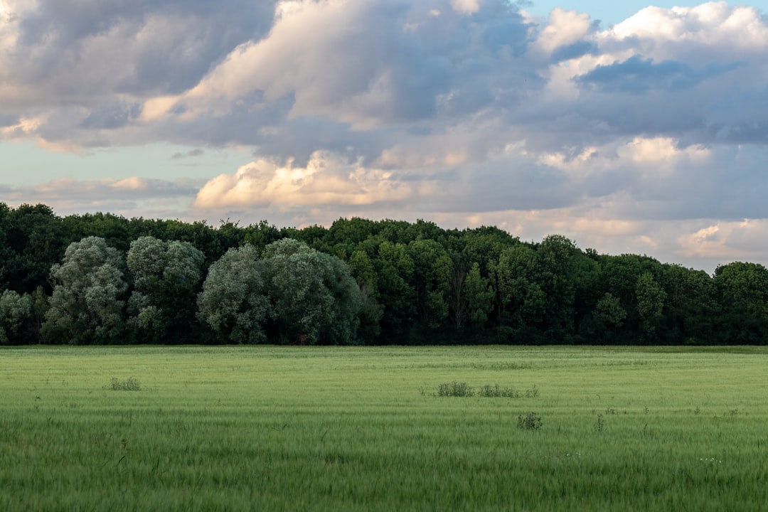 découvrez l'écologie, l'étude des interactions entre les organismes et leur environnement. apprenez comment préserver notre planète et adopter des pratiques durables pour un monde meilleur.