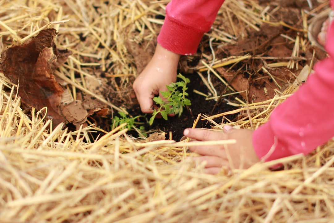 découvrez des événements durables qui allient engagement écologique et convivialité. apprenez à organiser des manifestations respectueuses de l'environnement, à réduire les déchets et à promouvoir des pratiques responsables tout en créant des expériences mémorables.