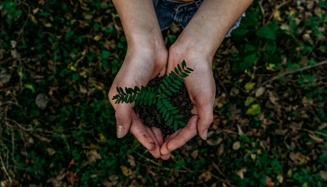 découvrez l'investissement durable, une approche financière qui allie rentabilité et respect de l'environnement. apprenez comment investir de manière éthique tout en contribuant au développement durable.