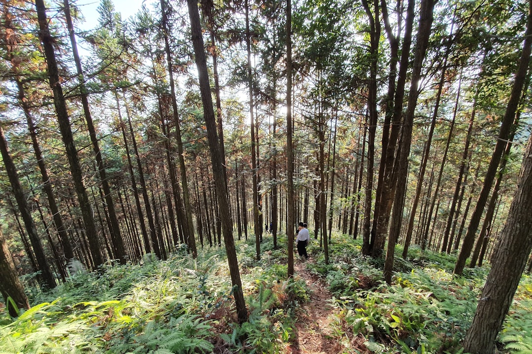 découvrez comment l'investissement durable transforme le paysage financier. explorez des stratégies qui favorisent un impact environnemental positif tout en générant des rendements solides. engagez-vous dans une finance éthique et responsable avec des opportunités d'investissement qui soutiennent le développement durable.