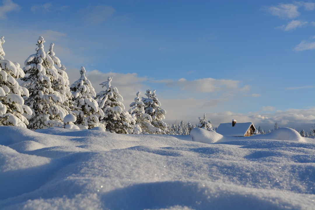 découvrez nos conseils essentiels pour prendre soin de vos cheveux en hiver. protégez-les du froid, de l'humidité et des agressions extérieures tout en les gardant nourris, brillants et sains grâce à nos astuces et produits spécialisés.