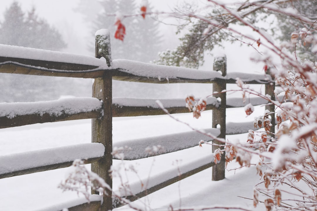 découvrez nos délicieuses recettes de soupes d'hiver, parfaites pour réchauffer vos soirées. faciles à préparer, ces soupes riches en saveurs et en ingrédients de saison raviront toute la famille. trouvez l'inspiration pour vos repas d'hiver grâce à notre sélection variée.