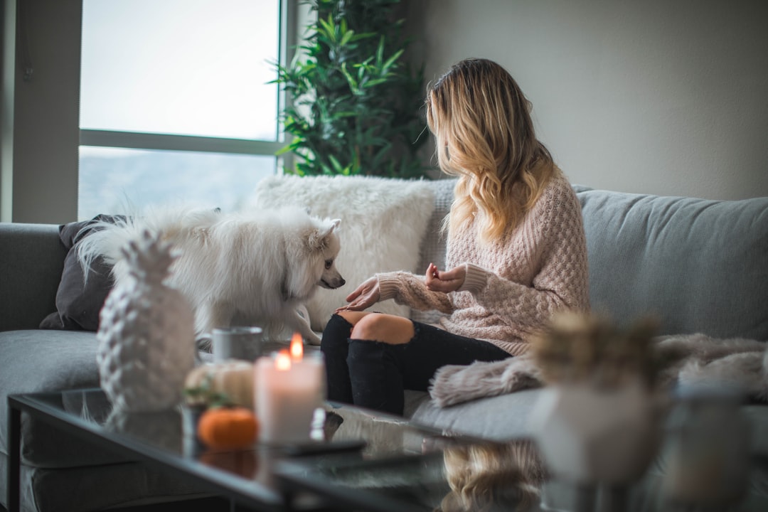 découvrez comment la sécurité pour maison intelligente protège votre foyer grâce à des systèmes avancés de surveillance, des alarmes intelligentes et une gestion à distance. protégez votre famille et vos biens avec des solutions innovantes qui garantissent une tranquillité d'esprit 24/7.