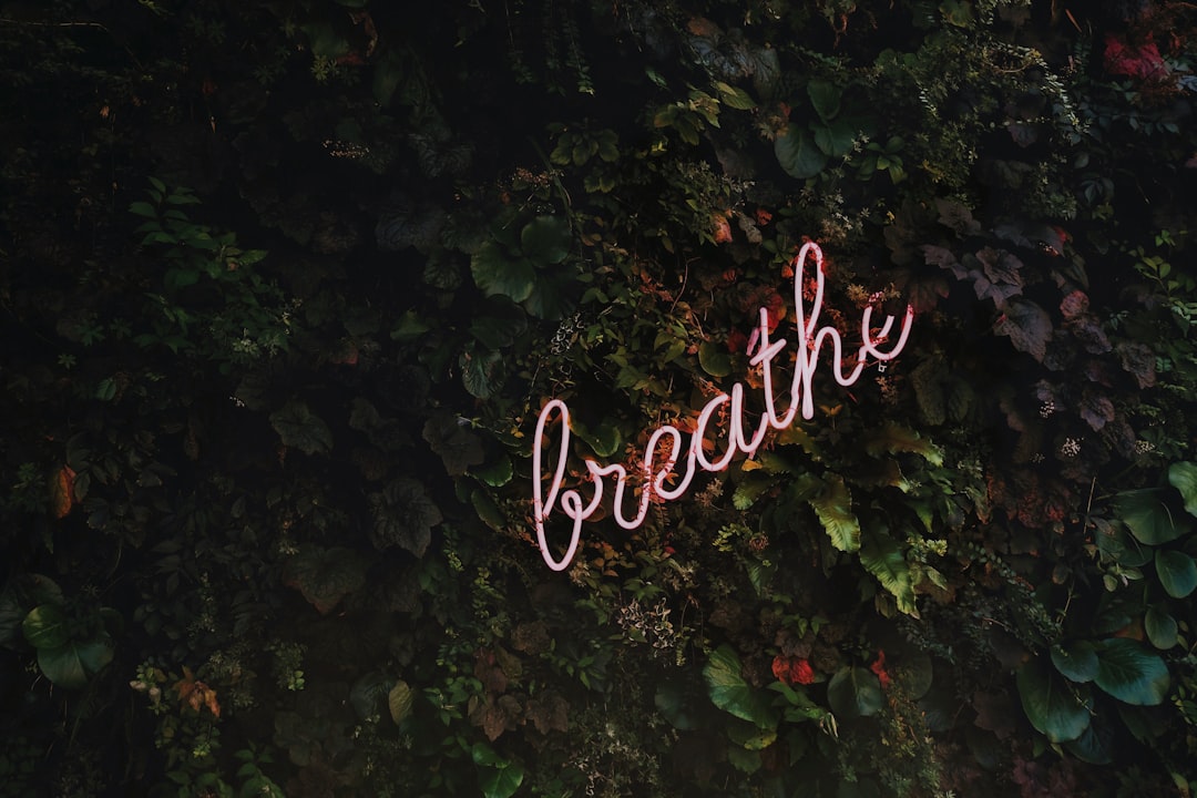 découvrez l'art de la respiration consciente avec nos techniques de mindful breathing. améliorez votre bien-être mental, réduisez le stress et augmentez votre concentration grâce à des exercices simples et efficaces. apprenez à maîtriser votre souffle pour une vie plus sereine et équilibrée.