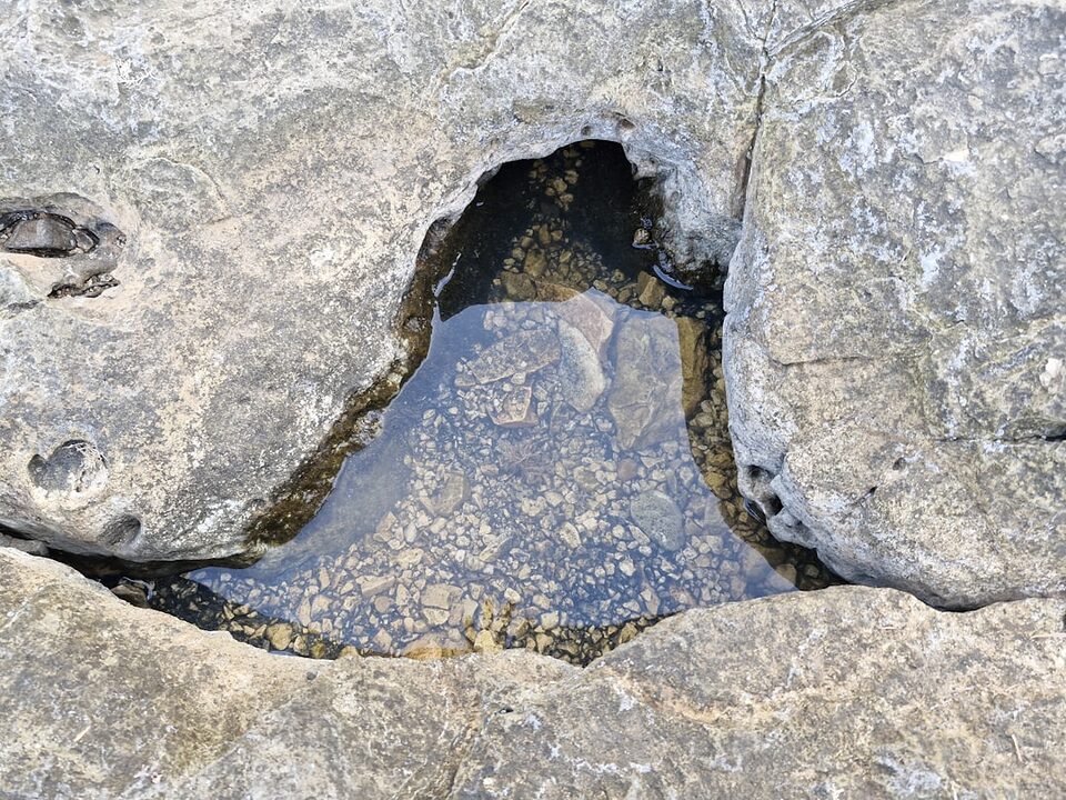 découvrez les merveilles naturelles du monde, des paysages époustouflants aux formations géologiques uniques. plongez dans la beauté des paysages, des montagnes majestueuses aux plages paradisiaques, en passant par les forêts luxuriantes. explorez la richesse de la biodiversité et laissez-vous inspirer par ces trésors de la nature.
