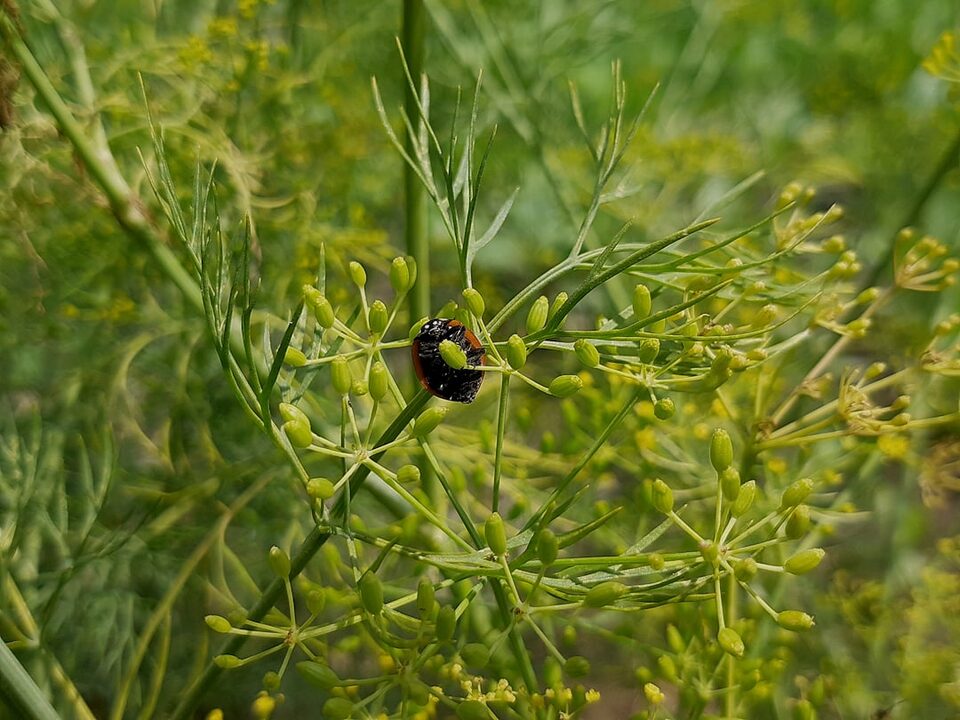 découvrez l'importance des enjeux cruciaux dans notre vie quotidienne. comprenez comment les décisions, les valeurs et les interactions façonnent notre société et influencent notre avenir.