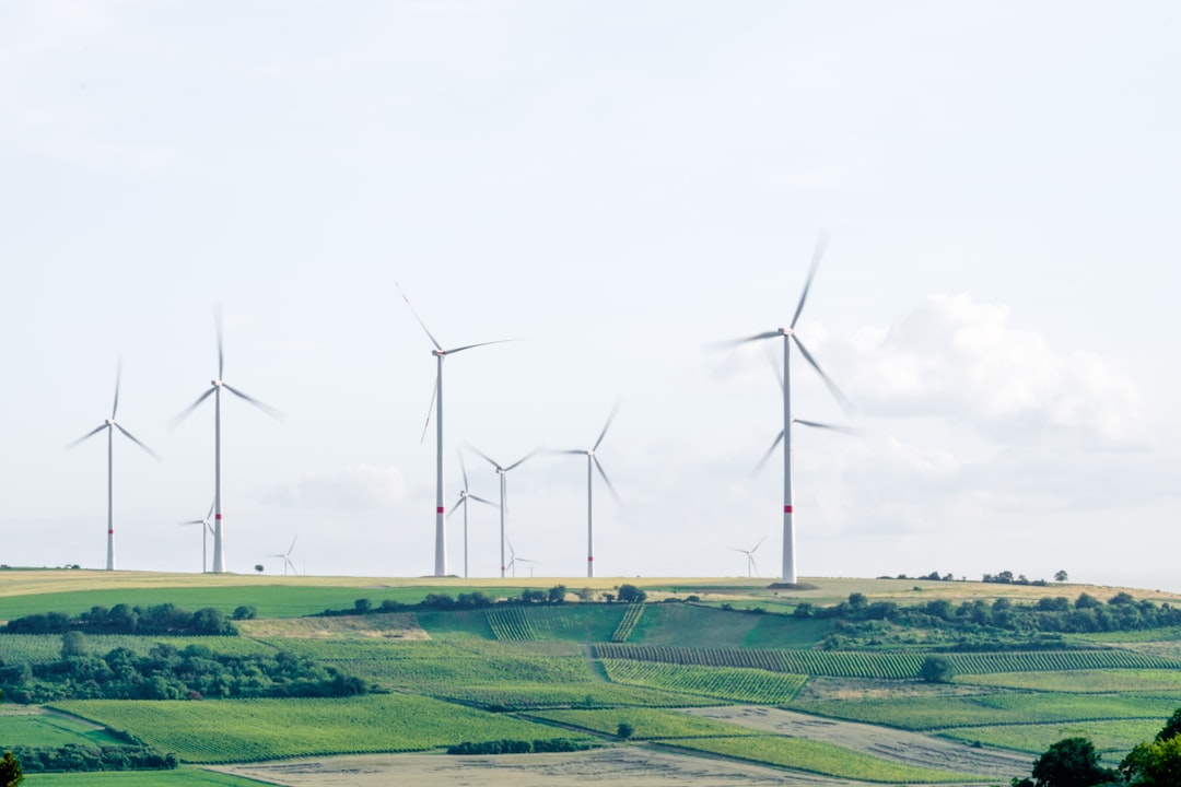 découvrez l'importance de l'éducation environnementale pour sensibiliser aux enjeux écologiques. apprenez à protéger notre planète à travers des initiatives éducatives innovantes et engageantes. rejoignez le mouvement pour un avenir durable.