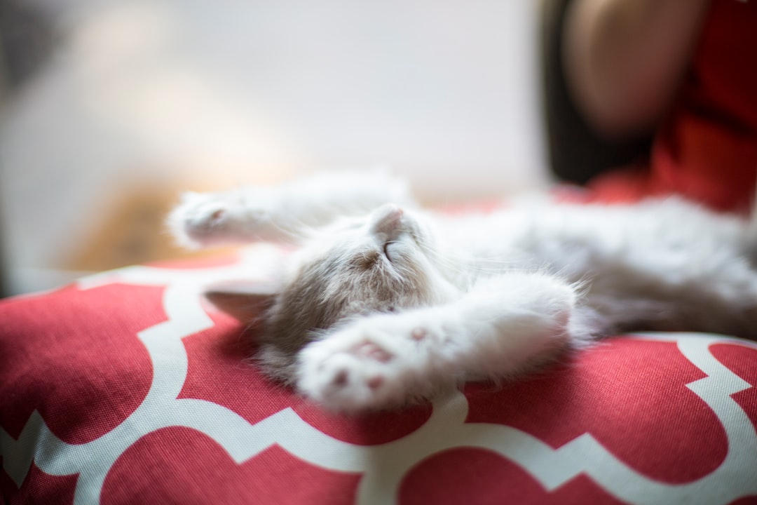 découvrez l'importance des cycles de sommeil pour une meilleure qualité de vie. apprenez comment optimiser votre sommeil en comprenant les différentes phases et leur impact sur votre santé physique et mentale.