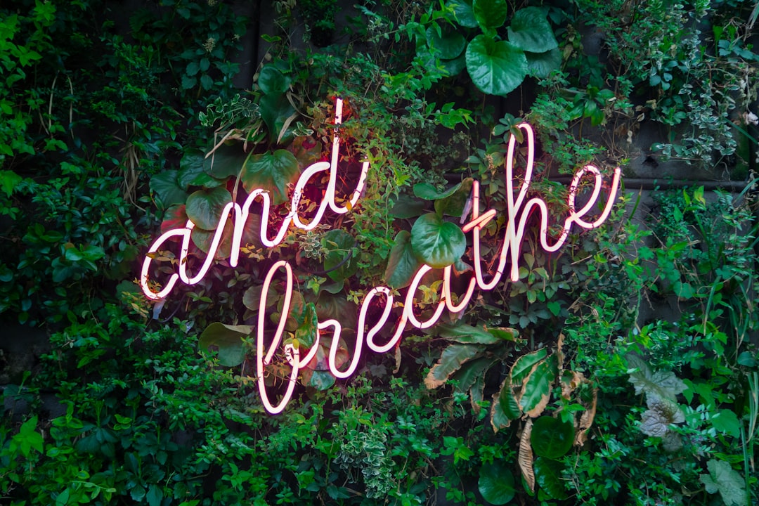 découvrez comment trouver l'équilibre parfait entre vie professionnelle et vie personnelle. explorez des astuces et des stratégies pour améliorer votre bien-être, réduire le stress et maximiser votre productivité tout en profitant pleinement de vos moments de détente.